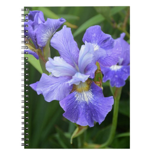 Lila Iris Notizblock (Vorderseite)