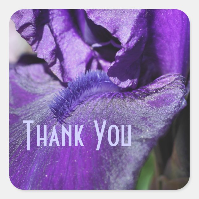 Lila Iris Petal Blume Vielen Dank Aufkleber (Vorderseite)