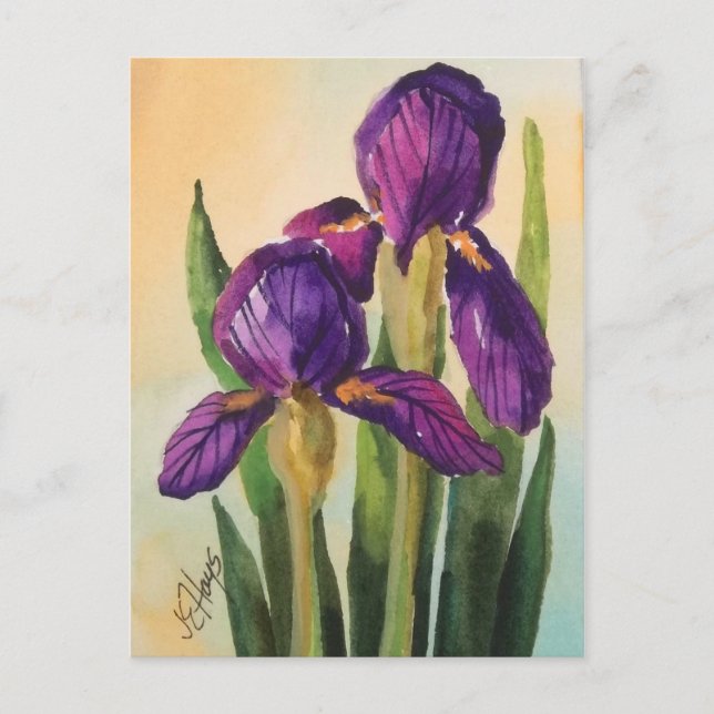 Lila Iris Postkarte (Vorderseite)