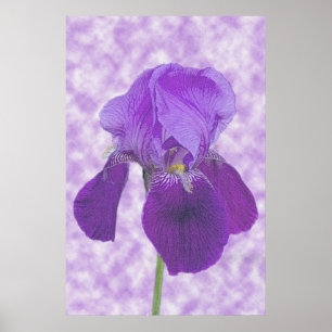 Lila Iris Print Poster