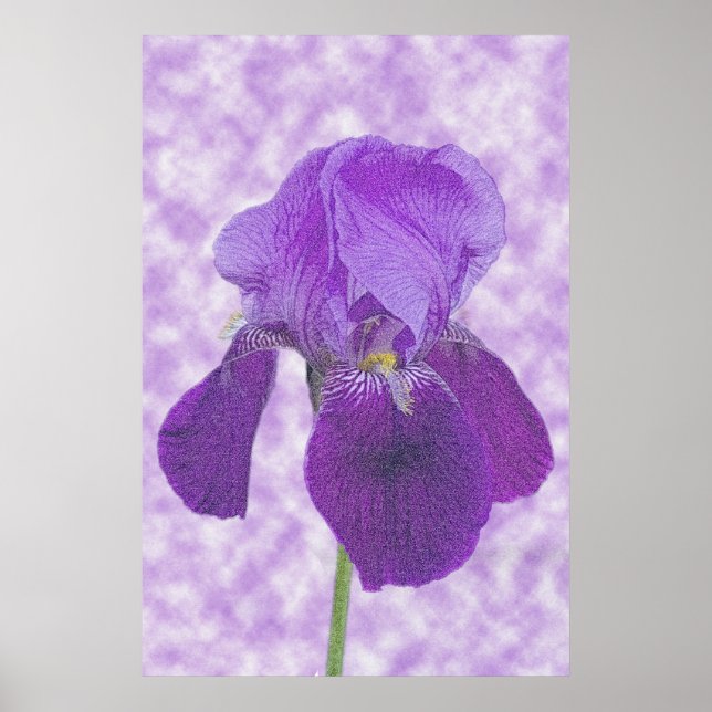 Lila Iris Print Poster (Vorne)