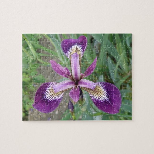 Lila Iris Puzzle (Horizontal)