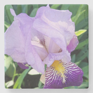 Lila Iris Stone Untersetzer