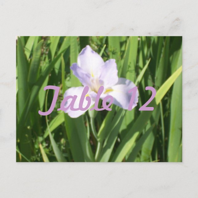 Lila Iris-Tischnummer Postkarte (Vorderseite)