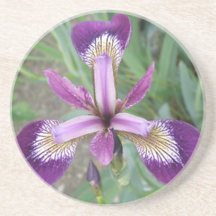 Lila Iris-Untersetzer Untersetzer