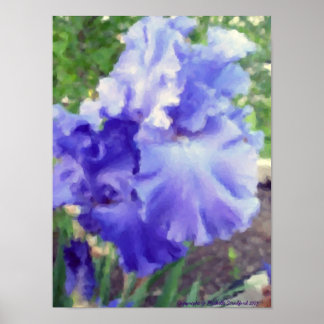 Lila Iris Watercolor Poster