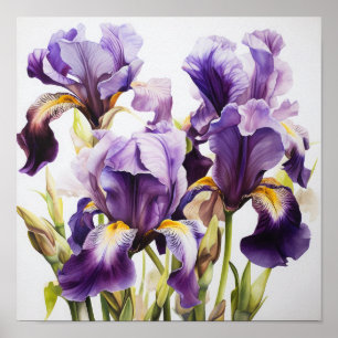 Lila Irische Blume Art Print Poster