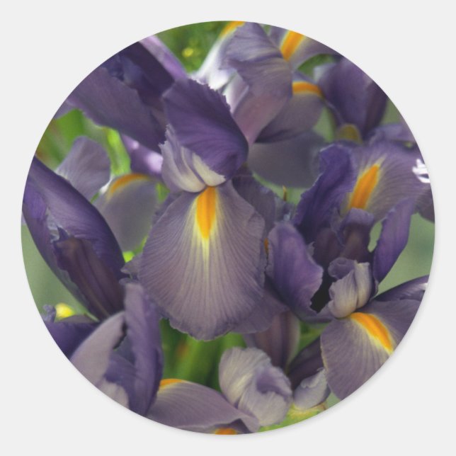 Lila Irische Blume Art Sticker Decals (Vorderseite)