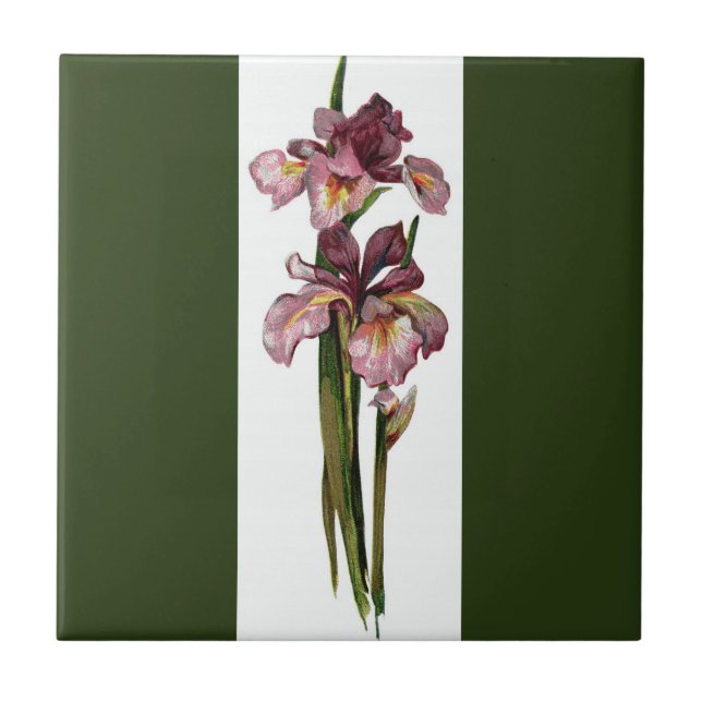 Lila Irises Dark Green Fliese (Vorderseite)