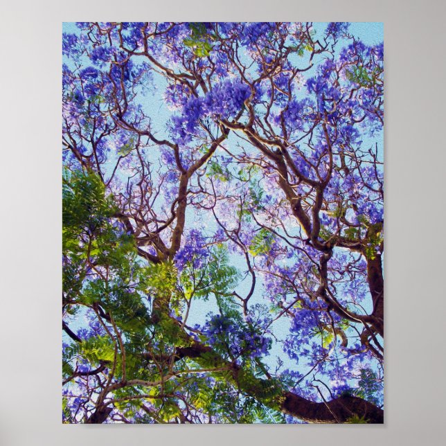 Lila Jacaranda-Baum-Ölgemälde,   Poster (Vorne)