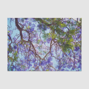 Lila Jacaranda Bäume Ölfarbe, Gewebepapier Seidenpapier