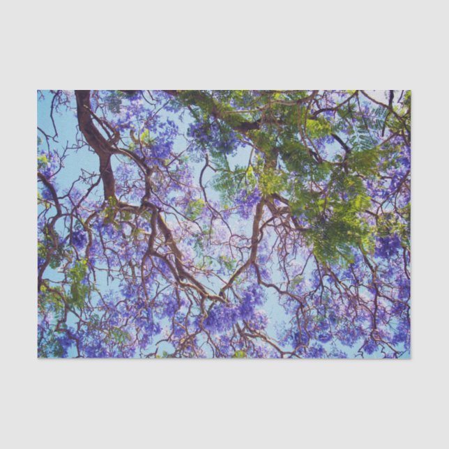 Lila Jacaranda Bäume Ölfarbe, Gewebepapier Seidenpapier (Vorderseite)