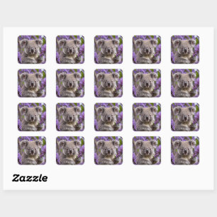 Lila Jacaranda Koala Bear, Quadratischer Aufkleber