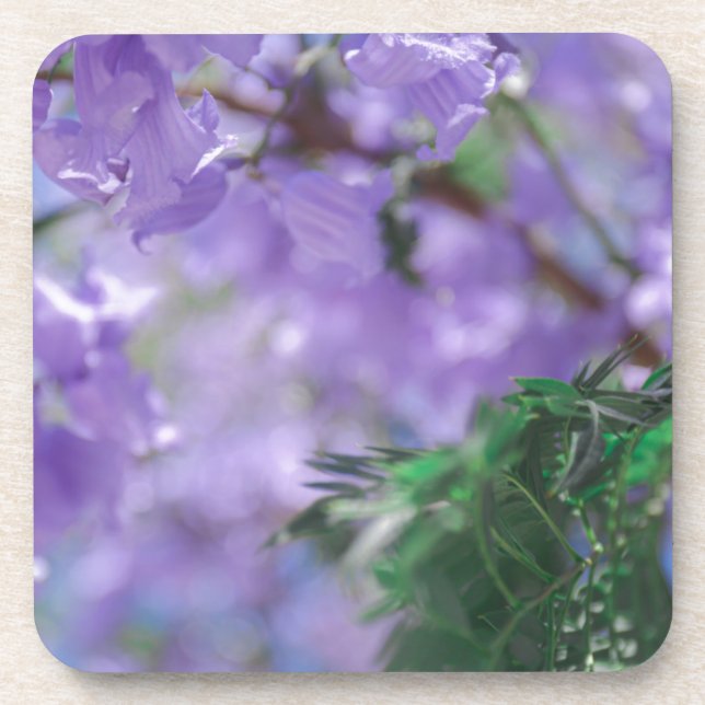 Lila Jacaranda Tree Blume Getränkeuntersetzer (Vorderseite)