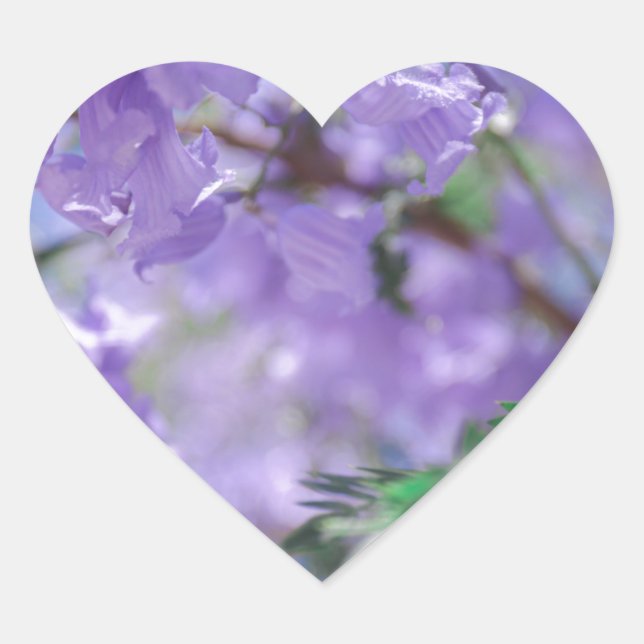 Lila Jacaranda Tree Blume Herz-Aufkleber (Vorderseite)