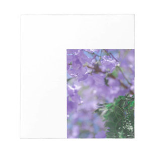 Lila Jacaranda Tree Blume Notizblock
