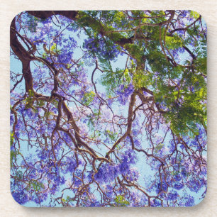 Lila Jacaranda Tree Oil Paint, Getränkeuntersetzer