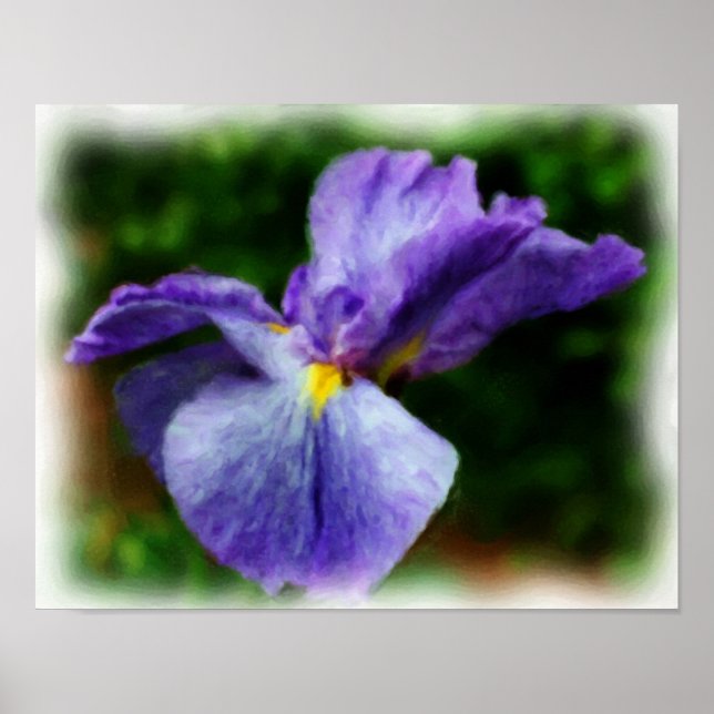 Lila Japanisch Iris Blume Art Foto Malerei Poster (Vorne)
