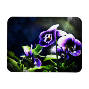 Lila Johnny Jump Ups und Stars Magnet