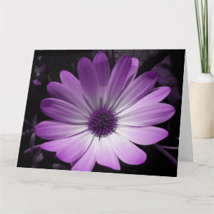 Lila Jumbo-Grüße-Karte von Daisy Blume Karte