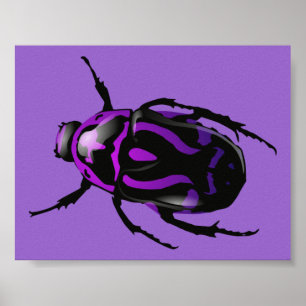 Lila Käfer Poster