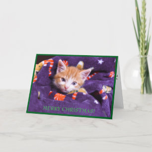 Lila Katzen-Decke Frohe Weihnachten Orange Kitten 