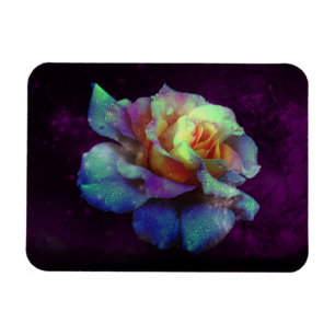 Lila-Kisser-Rose-Magnet Magnet