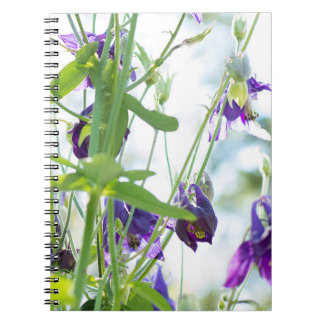 Lila Kolumbus-Notebook Notizblock