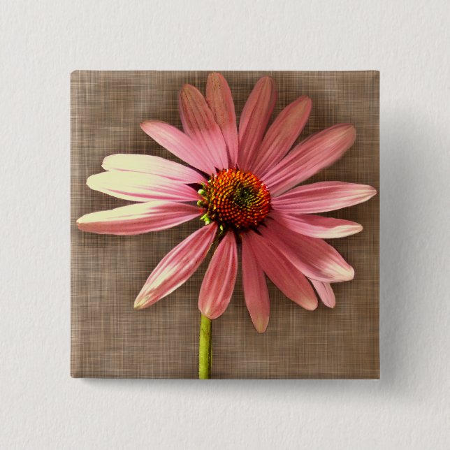 Lila Kone Blume Echinacea purpurea Button (Vorderseite)