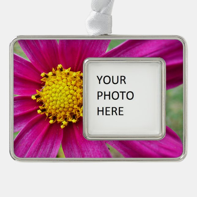 Lila Kosmos-Wildblume Rahmen-Ornament Silber (Vorderseite)