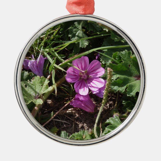 Lila Kranesbill Silbernes Ornament (Vorne)