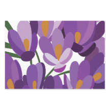 Lila Krokus Blüten