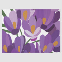 Lila Krokus Blüten