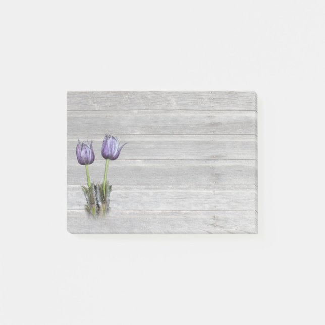 Lila Krokus-Grasland-Blume Post-it Klebezettel (Vorderseite)
