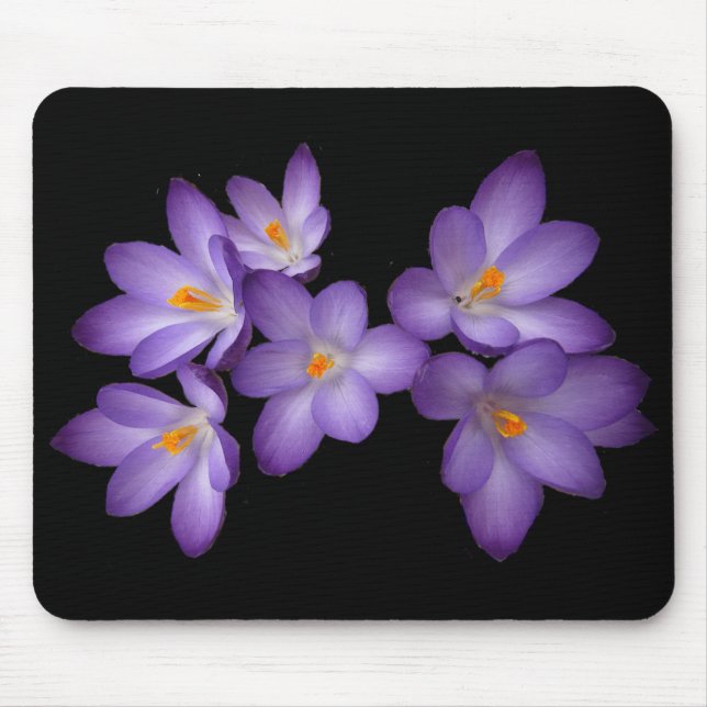 Lila Krokus Mousepad (Vorne)