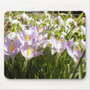 Lila Krokus und Snowdrops Mousepad