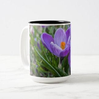 Lila Krokusblüte Zweifarbige Tasse