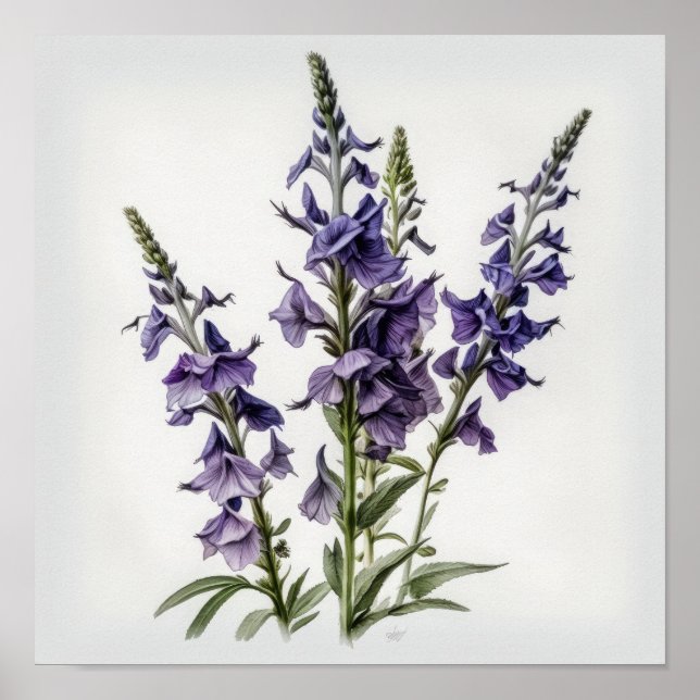 Lila Larkspur Blume Art Print Poster (Vorne)