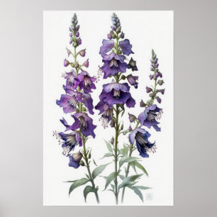 Lila Larkspur Blume Art Print Poster