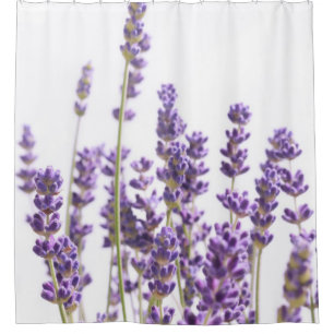 Lila Lavendel #1 #decor #art Duschvorhang