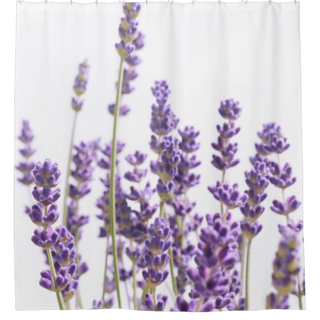 Lila Lavendel #1 #decor #art Duschvorhang (Vorderseite)