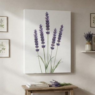 Lila-Lavendel-Aquarell-Botanikdruck Leinwanddruck