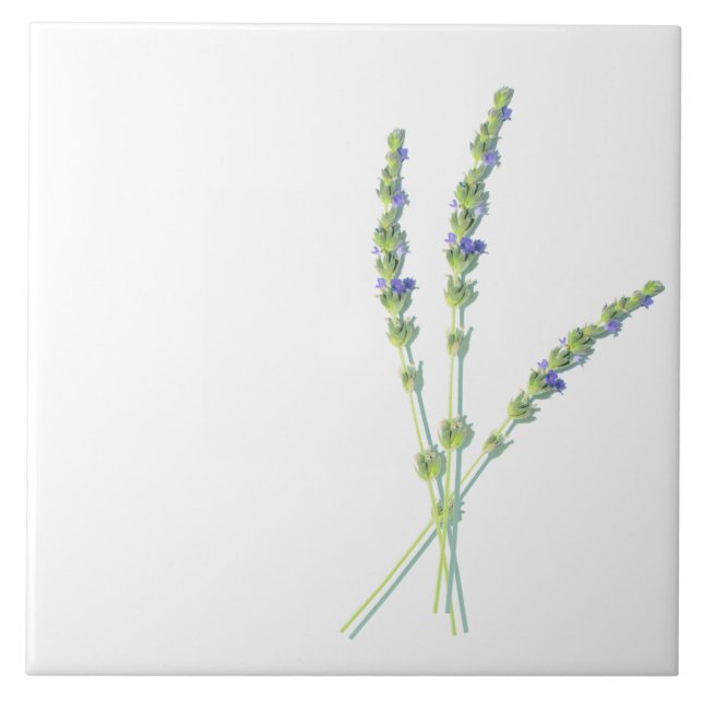 Lila Lavendel-Blume-Blume Fliese (Vorderseite)