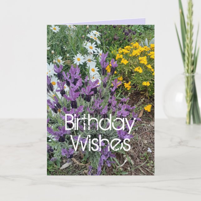 Lila Lavendel & Daisy Blume Blumenkarosserie Karte (Vorderseite)