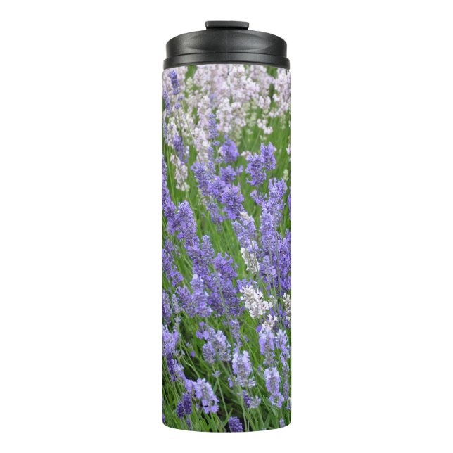 Lila Lavendel Thermosbecher (Vorderseite)
