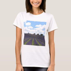 Lila Lavendelfelder in der Nähe von Sault T-Shirt