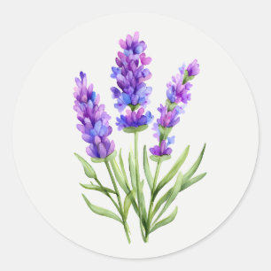 Lila Lavendelgarten-Blumen-Blumenkunst Runder Aufkleber