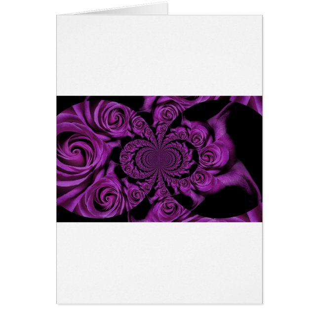 Lila Leidenschaft: Royal Romance Rose (Vorne)