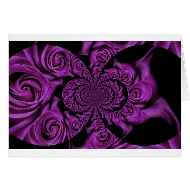 Lila Leidenschaft: Royal Romance Rose (Vorderseite (Horizontal))
