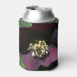 Lila Lenten Rose Ostern Blume Dosenkühler